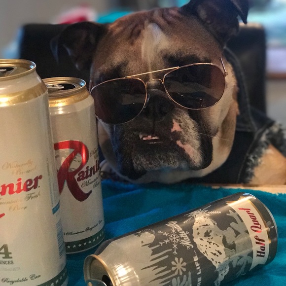 Meet your Posher, Trilby - Picture 5 of 8